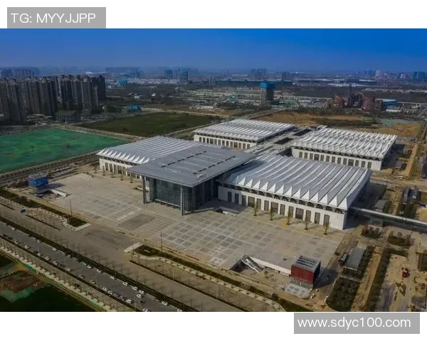 深入分析西安乒乓球队的运营策略与发展模式探讨